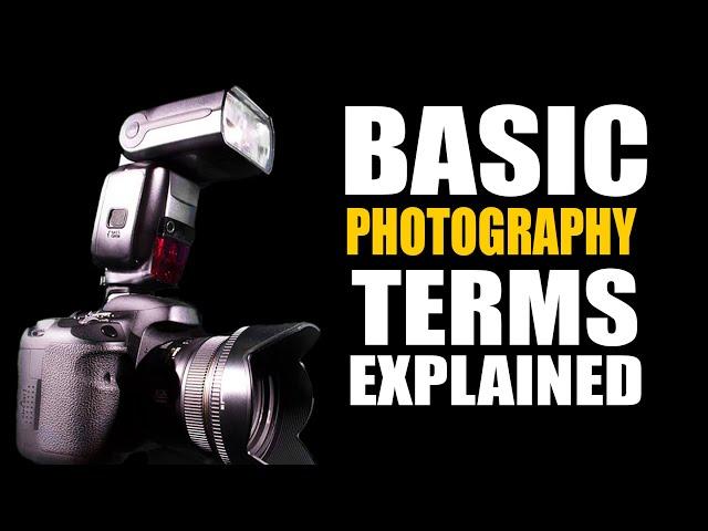 7 Photography Terms You Should Know