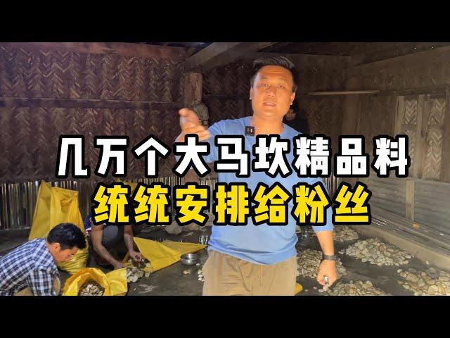 几万个大马坎精品料统统安排给粉丝！—— | 缅邦矿业阿维 | 缅甸翡翠矿区 | 翡翠源头 | 赌石 | 翡翠原石 | 缅甸宝石矿 | 缅甸金矿