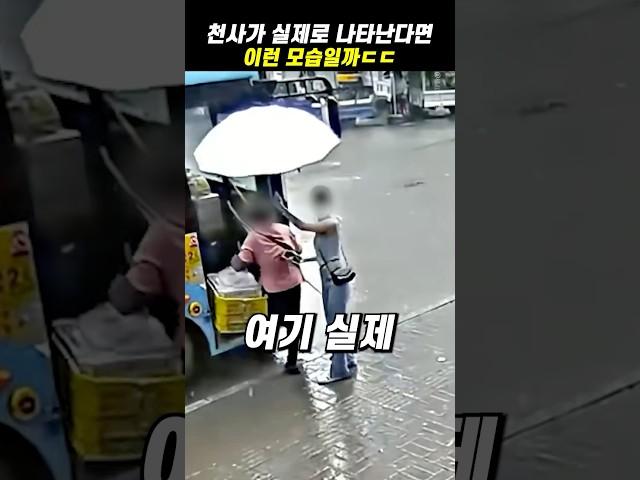 천사가 실제로 나타난다면 이런 모습일까ㄷㄷ