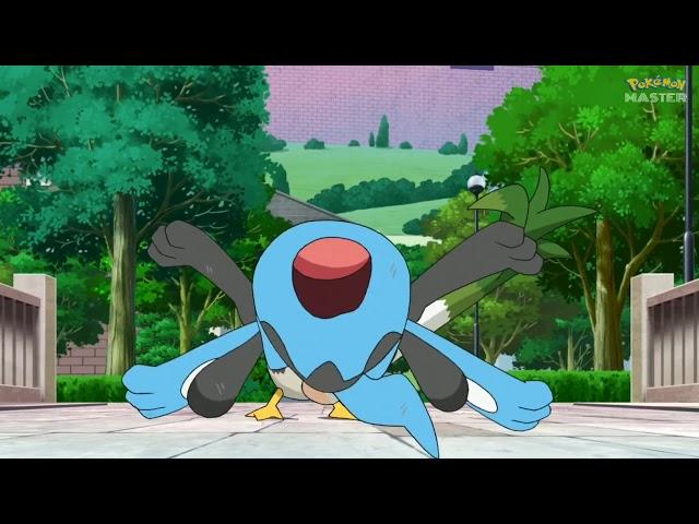 Riolu vs Farfetchd  Pokemon 2019  Pokemon Journeys The Series Episode 27 English Sub 10