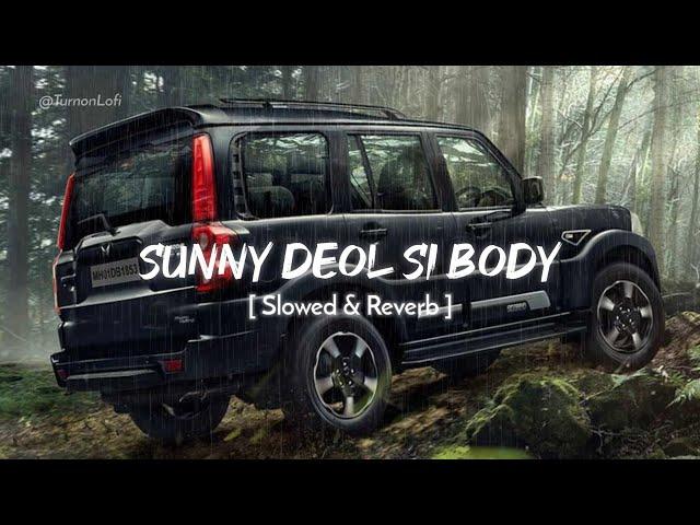 Sunny Deol Si Body Re ( Slowed & Reverb ) Raju Punjabi | Choudhar Jaat Ki Latest Haryanvi Song