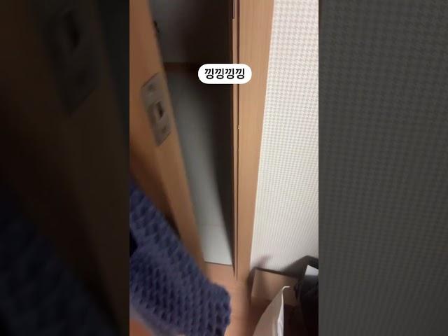 야행성 감자 울면 언니가 문열어 준다 멍! #강아지 #애견영상 #강아지유튜브