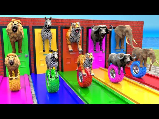 Elephant Lion Gorilla Tiger Hippo Guess The Right Door ESCAPE ROOM CHALLENGE Animals Tire Game