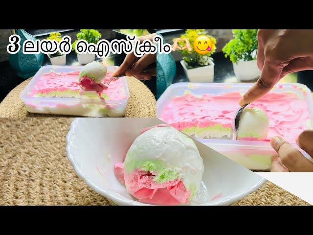 ഒരു വെടിക്ക് മൂന്ന് പക്ഷി/ Ice cream recipe Malayalam/Easy ice cream recipe at home/Easy ice cream