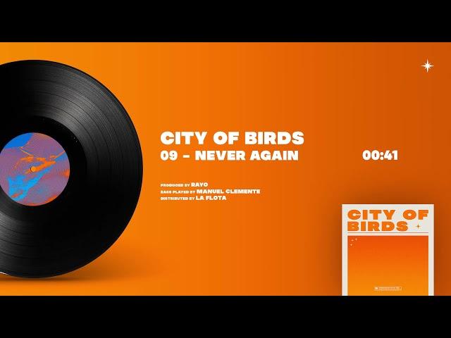 Rayo - 09 NEVER AGAIN [City Of Birds]