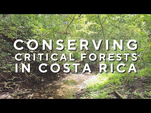 Conserving Costa Rican Forests: Help the Guanacaste Water Center