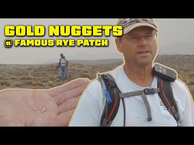 Gold Nuggets Found At Rye Patch Nevada