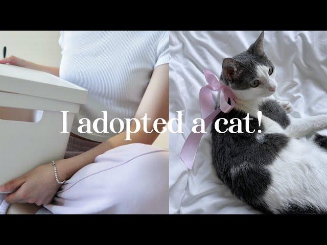 (eng/kor) adopting a cat from shelter vlogㅣcat supplies haulㅣemergency vet & rough first week...