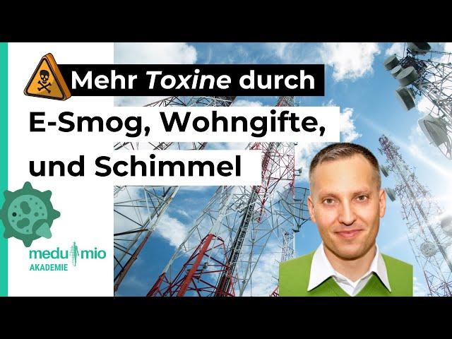 Chronische Infektionen: Mehr Toxine durch E-Smog, Wohngifte & Schimmepilze ️ C. Blank