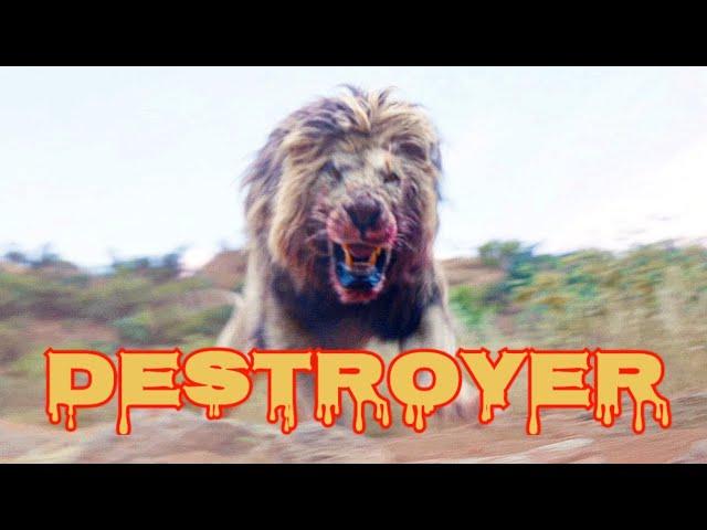 Rogue Lion - Destroyer