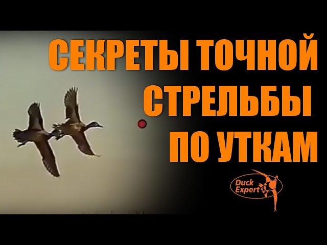 Секреты точной стрельбы по уткам. Как начать попадать