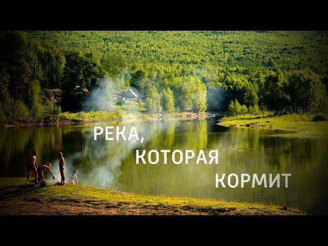 АМГУНЬ - РЕКА, КОТОРАЯ КОРМИТ