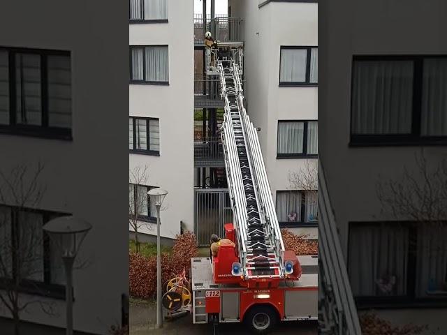 Les séquelles du vent violent de cette nuit (20 février 2022) à Ixelles