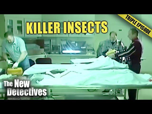 Poisonous bugs claim two victims | TRIPLE EPISODE | The New Detectives