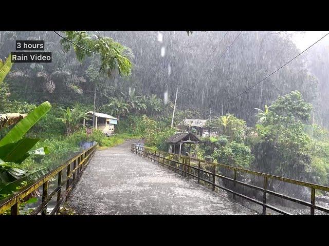 Heavy rain in the beautiful countryside of Indonesia||sleep soundly in 5 minutes