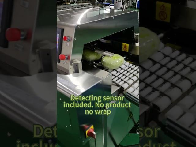 Freshness Sealed: Watch Our Fruit & Vegetable Packaging Machine in Action!