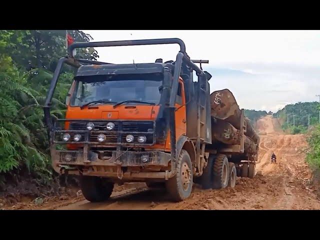 Truk Pengangkut Kayu Dari Dalam Hutan Kalimantan - Mercedes Benz Logging Truck