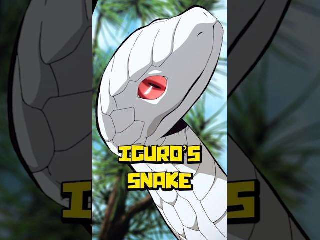 Obanai's Bird is Actually A Snake (Demon Slayer Kaburamaru's Sad Backstory: Serpent Explained)