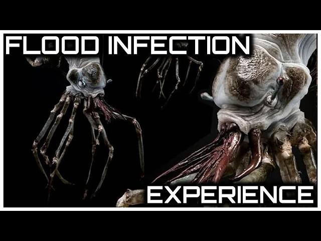 Experience a Flood Infection first hand | HALOween