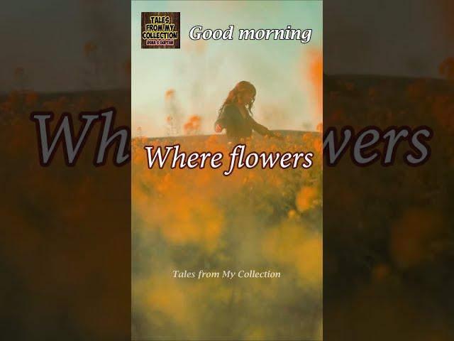 Where flowers bloom - Good morning quote # positive vibes #positiveenergy  #shorts #youtubeshorts