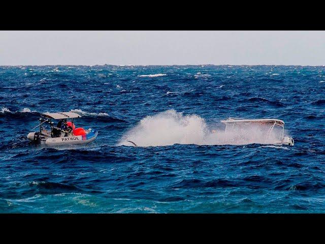 Young humpback whale rescued off the Gold Coast