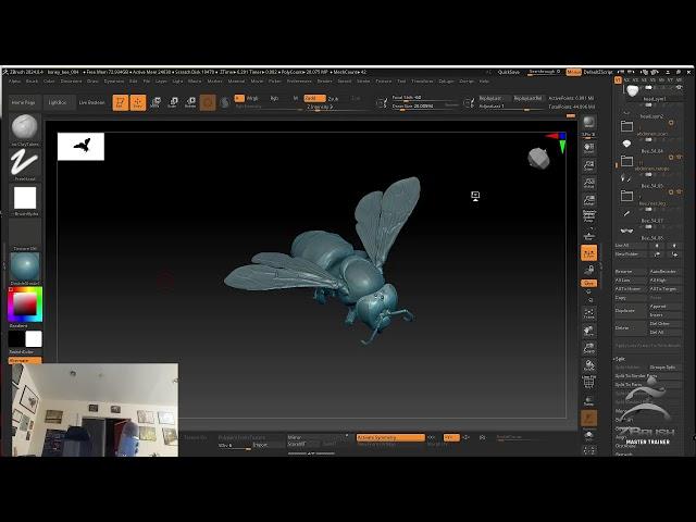 Insect Inspired Creature Design: Lets Talk Bees! – ZBrush 2024