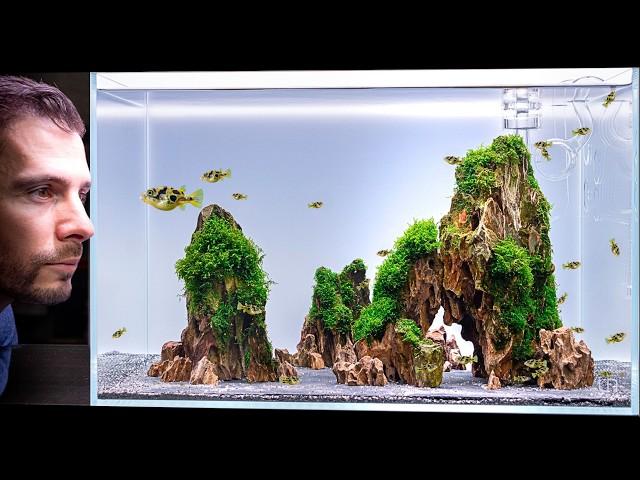 I made a Pea Puffer Aquarium: Cinematic Aquascape Tutorial