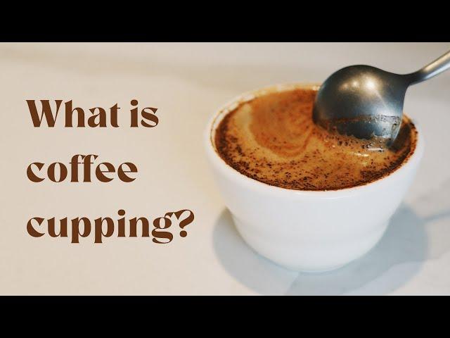 What Is Coffee Cupping?