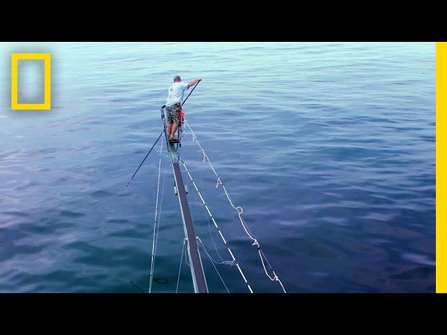 Harpoon Heroes | Wicked Tuna