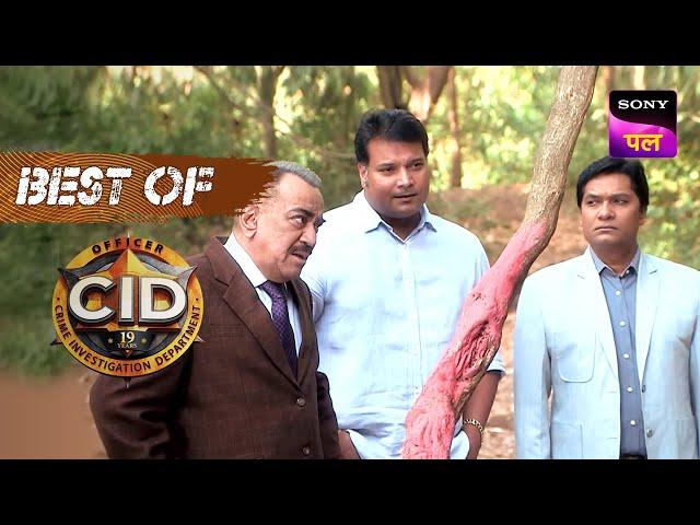 एक Coffin का राज़ पता लगाने के लिए Team CID पहुँची Jungle में | CID | Best Of CID