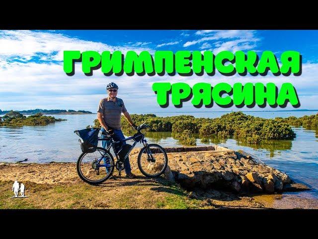 Гримпенская Трясина