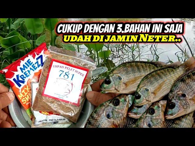 Racikan Umpan Jitu Ikan Nila yang Sangat Sederhana