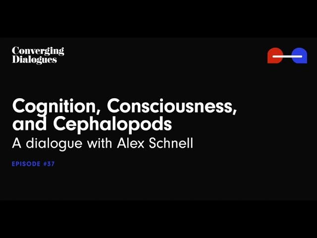 #37 - Cognition, Consciousness, and Cephalopods: A Dialogue with Alex Schnell