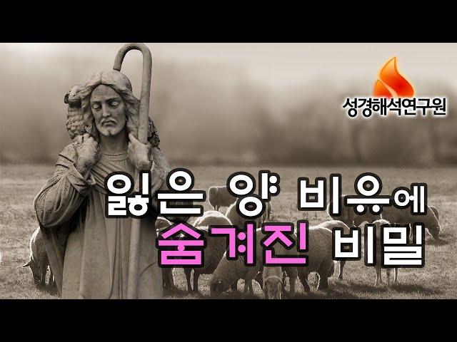 [예수님의 비유] 잃은 양 비유의 숨겨진 비밀