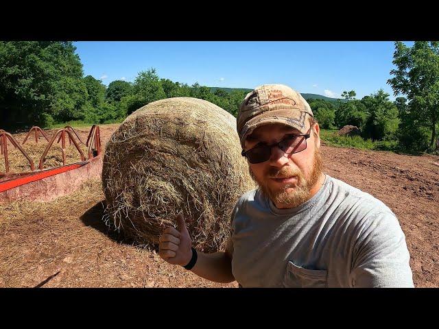 Can You Wrap Hay For Horses?