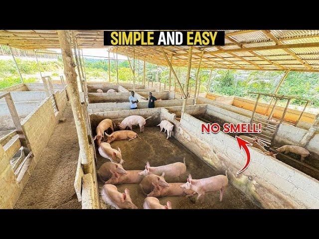 Consider this when going into  piggery farming with Esther Nakajubi of kasanje
