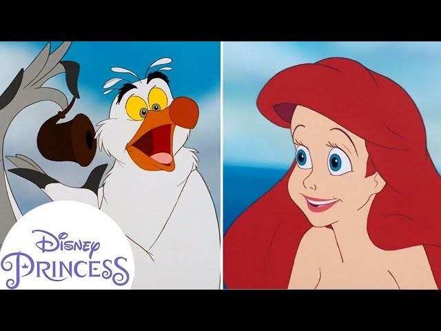  Scuttle Explains Human Stuff | Disney Princess | Disney Kids