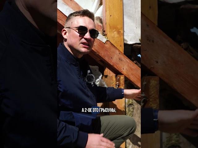 СГНИЛИ несущие каркасного дома