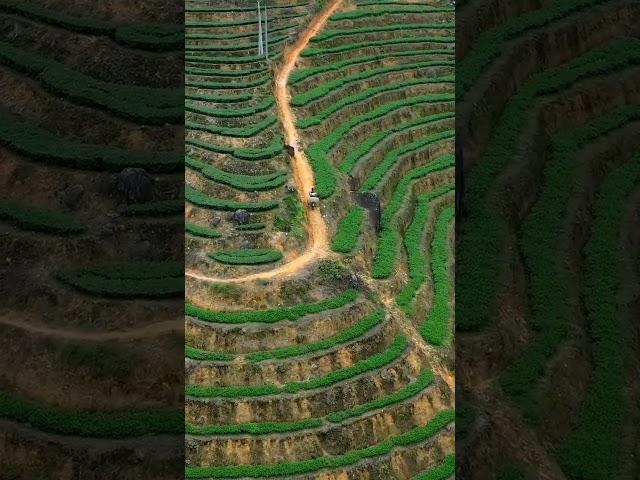 Amazing Drone Shooting.... Prewedding Shoot Drone।।Nature Shoot By Drone Camera