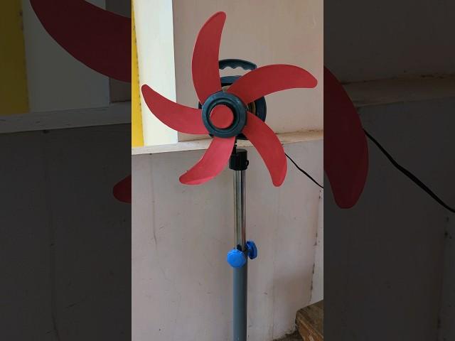 Pedestal fans and table fans #shorts #fans #fanvideo