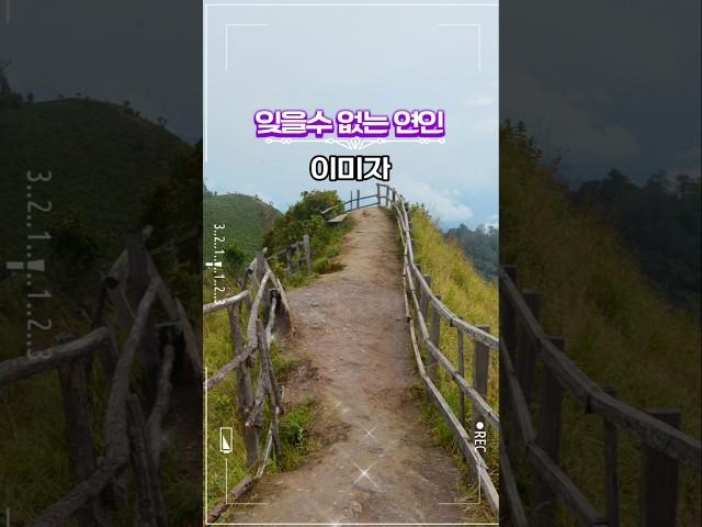 이미자 #잊을수 없는 연인 #옛날노래 #대중가요 #트롯트인기가요