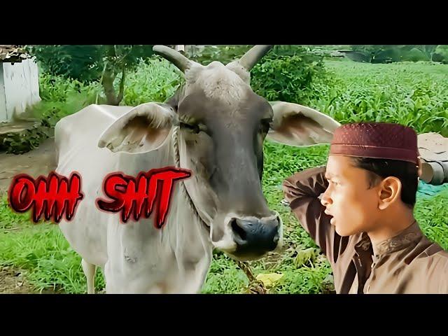 dost ka sath animals ka beech |outing with freind