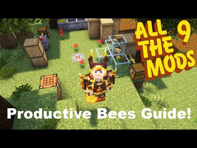 Productive Bees Guide Part 1 The Basics!