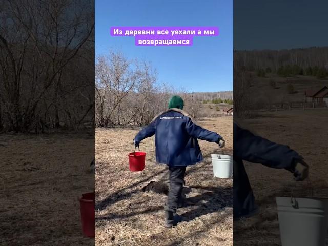 Возвращаемся в деревню