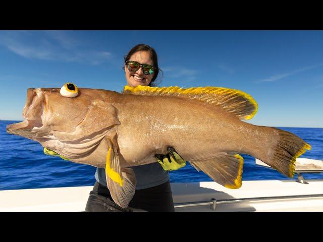 RECORD BREAKING Grouper! Catch, Clean, Cook! Dauphin Island, Alabama