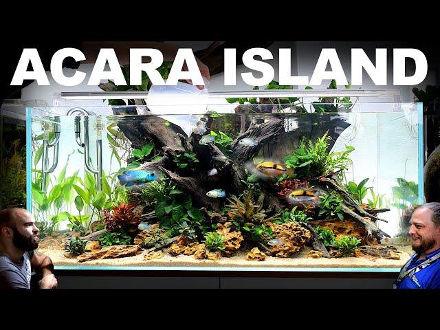 Electric Blue & Royal Acara Tank EPIC 4ft Aquascape Tutorial