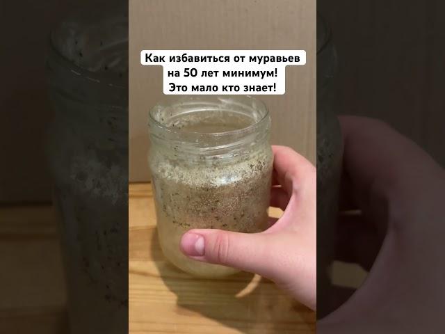 Как избавиться от муравьев на 50 лет минимум! Это мало кто знает!