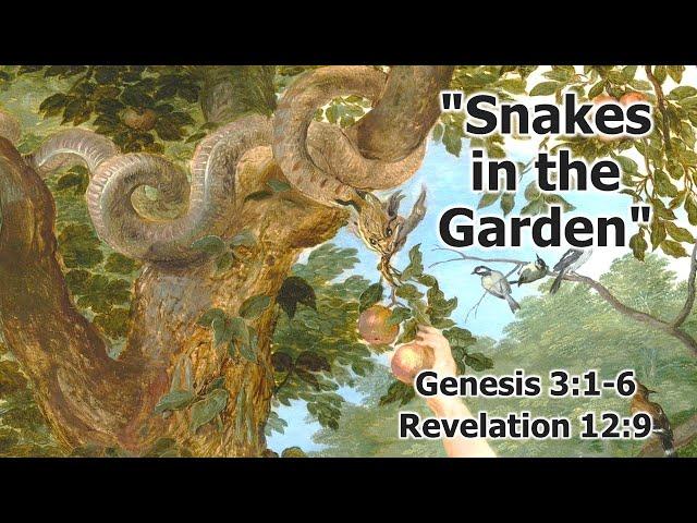 Live Streaming - Rev. Stephanie Cowart - Snakes in the Garden