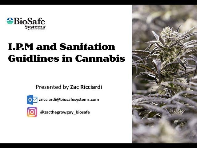 IPM and Sanitation Guidelines in Cannabis