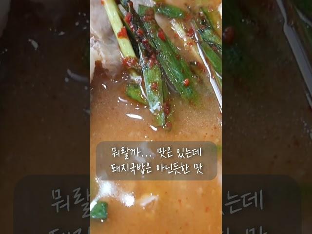 #shorts  [맛집] 부산 사상 합천돼지국밥 솔직리뷰 꿀팁!